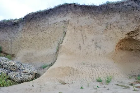 Erosión y Sedimentación