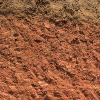 Clasificación del Suelo